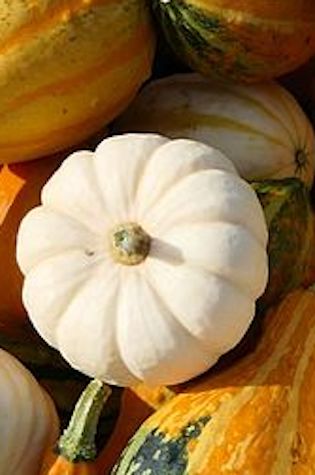 ORNAMEN-GOURD-1.jpg