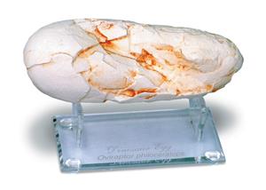 OVIRAPTOR EGG.jpg