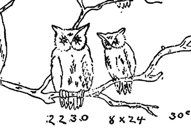 owls-ingallspatterns-1886.JPG