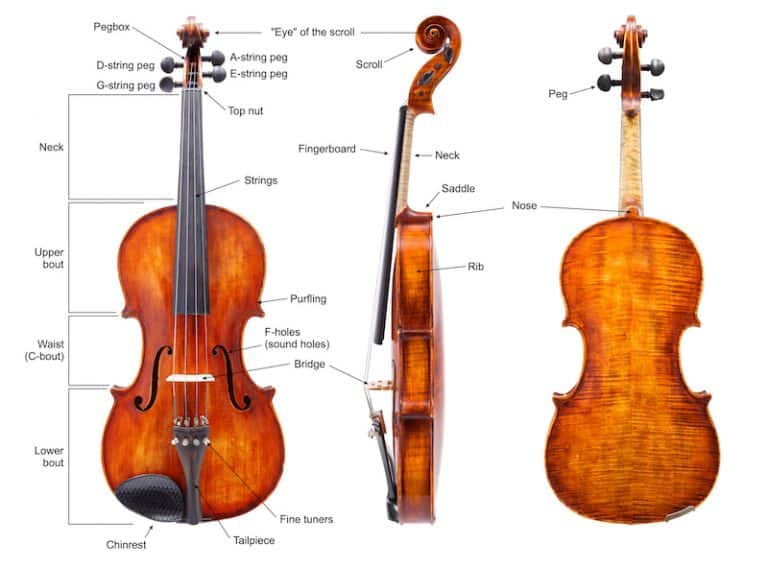 parts-of-the-violin-768x567-1479578902.jpg