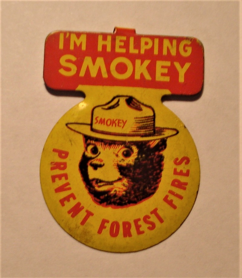 pin smoky the bear.jpg