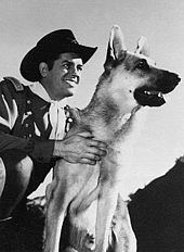 rin tin tin.jpg