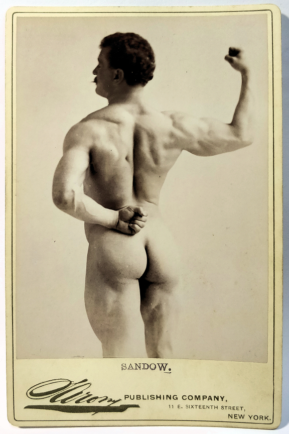 Sandow 3.jpg