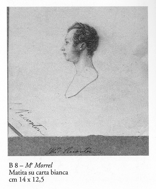 Saulini Mr Morrel Sketch sm.jpg