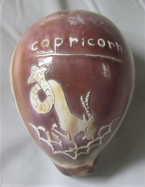 shell-capricorn.JPG