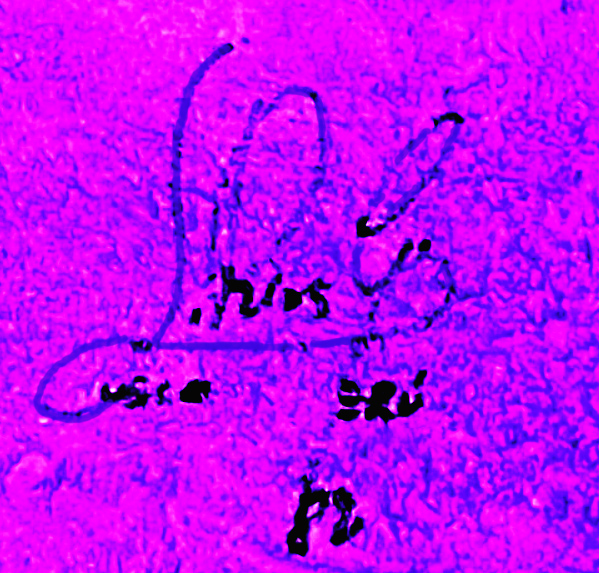 signature on ptng.jpg