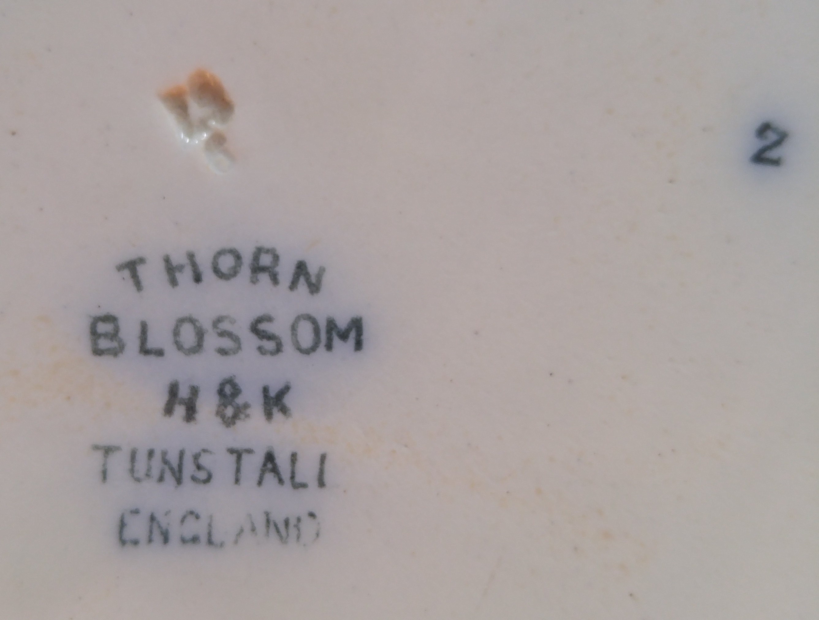 Thorn blossom mark.jpg