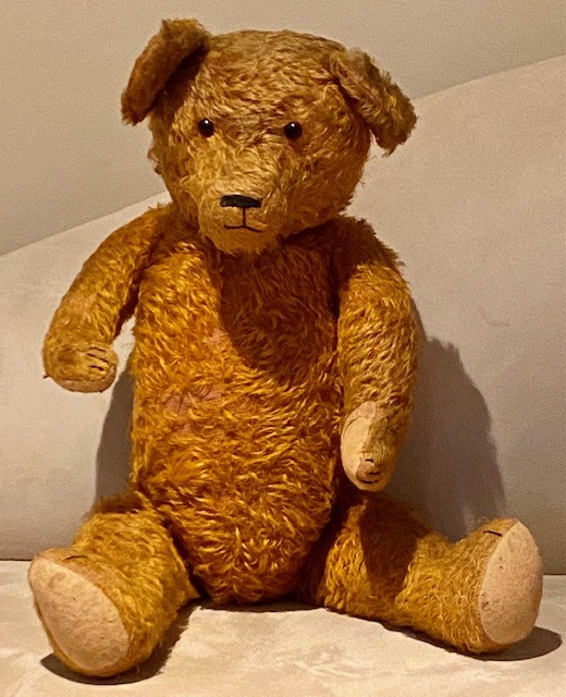 Steiff store bear identification