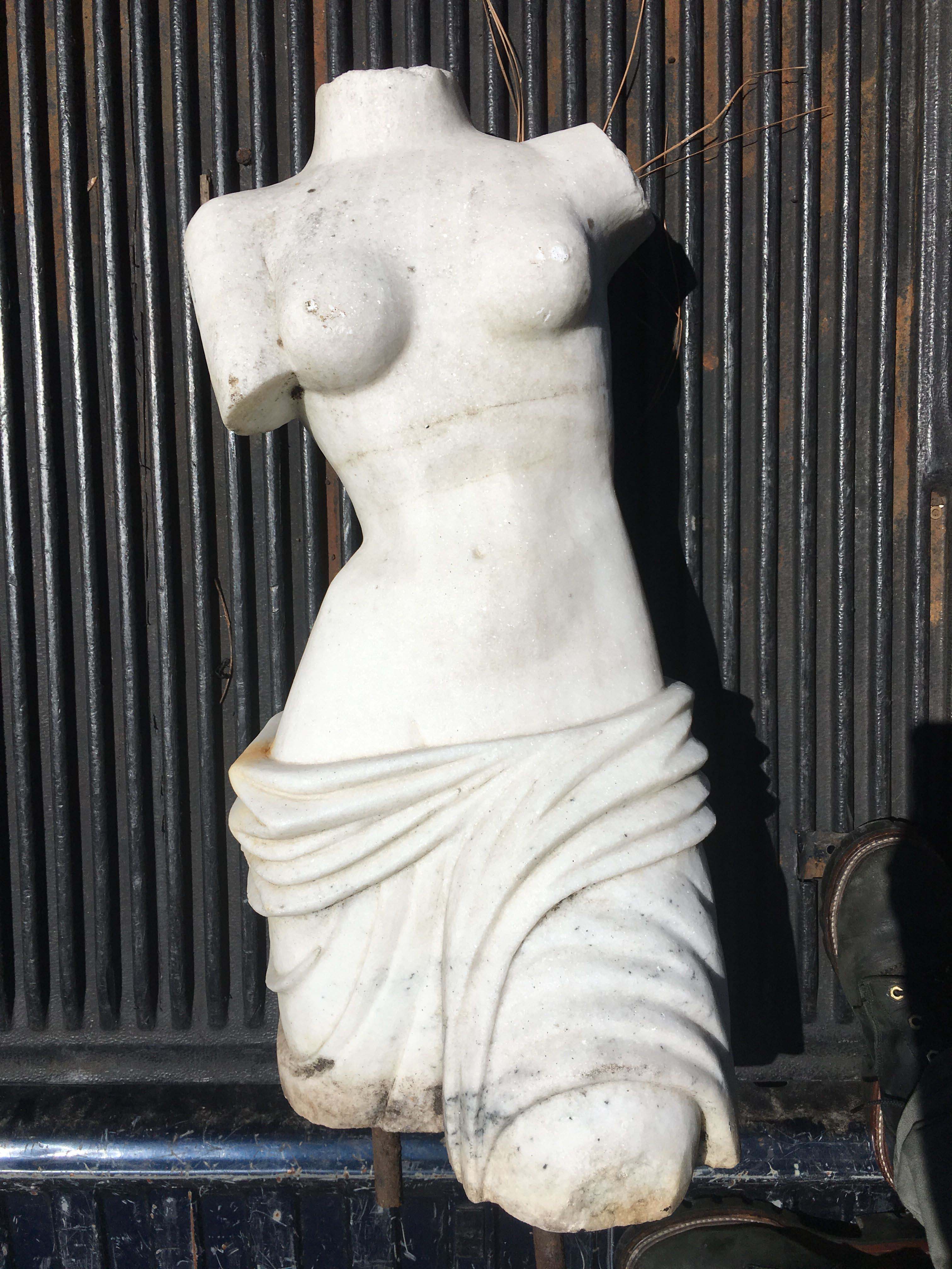 torso1.jpg