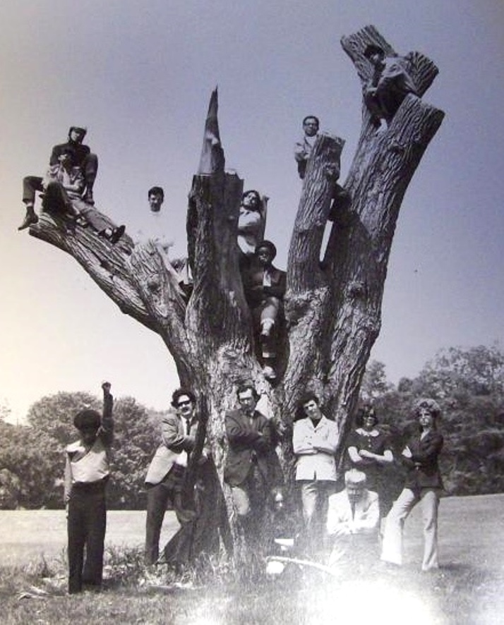 Tree protest group.jpg