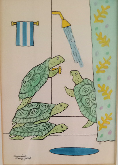 Turtle shower.jpg