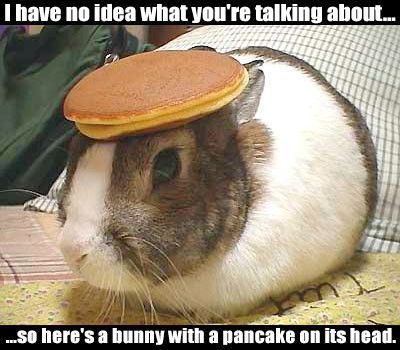 Understand-Bunny_(Pancake).jpg