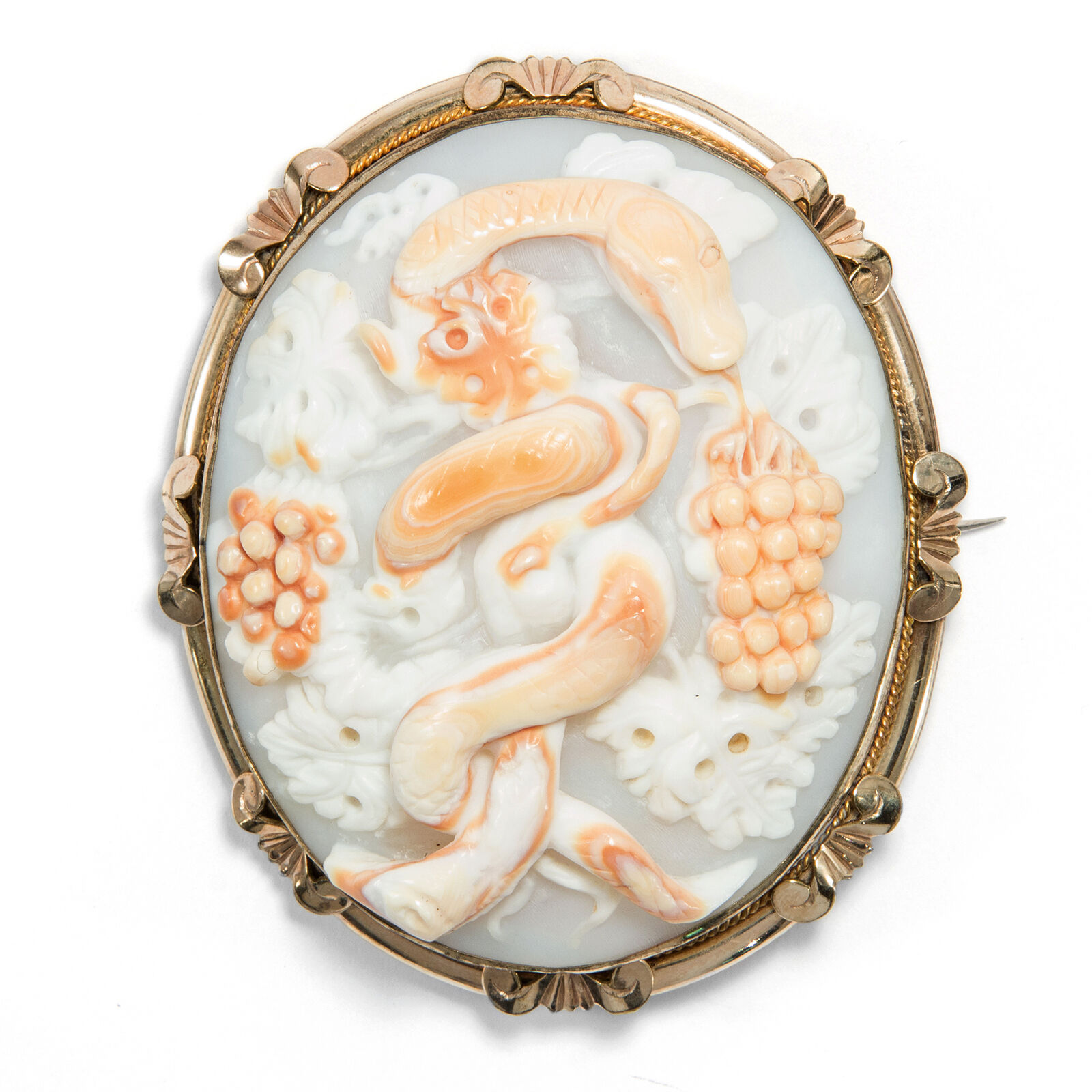 Unusual-Shell-Cameo-Brooch-around-1860-Snake-Serpent.jpg