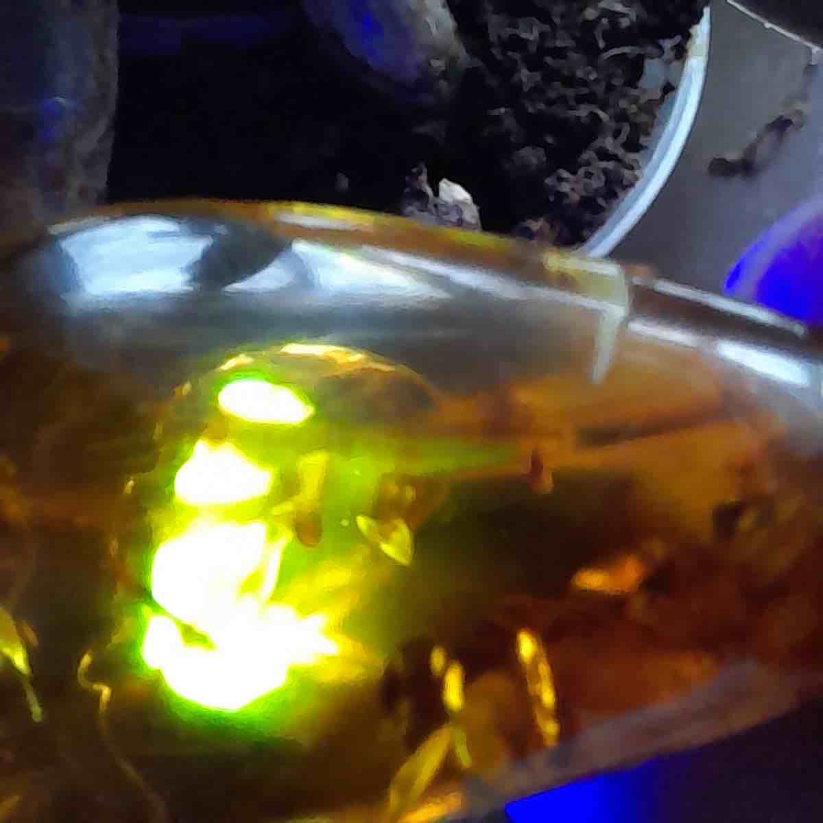 UV light amber.jpg