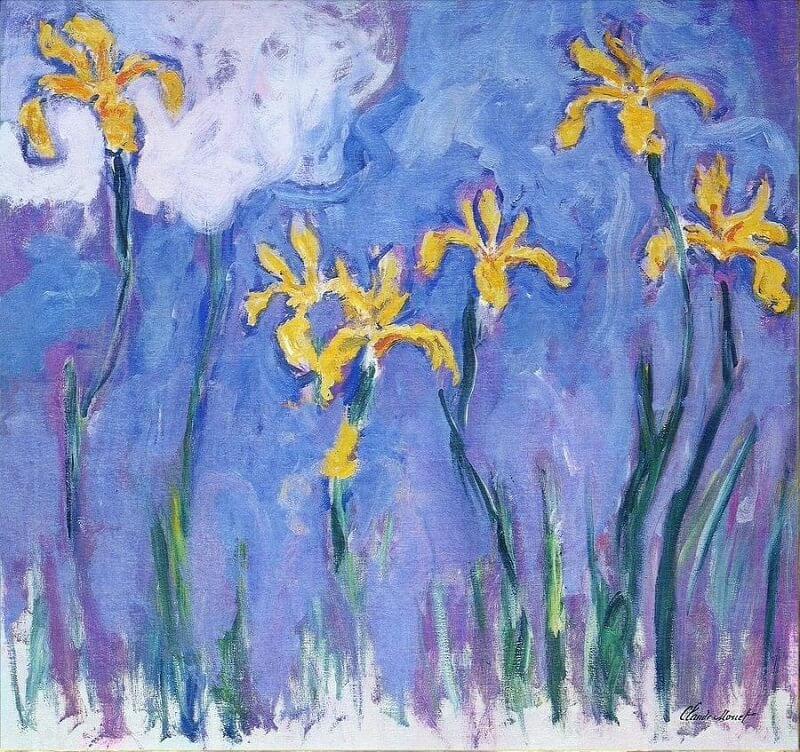 yellow-irises.jpg