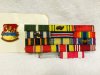 Campaign ribbon group and Strength in Service pin (480x360).jpg