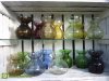 Hyacinth_vases_Scandinavia_3[1].jpg