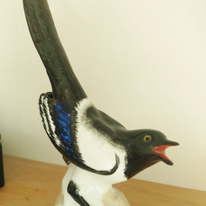 Lemonosov magpie