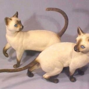 Pair of flocked siamese