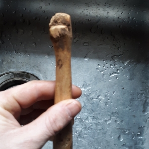 Carved bone