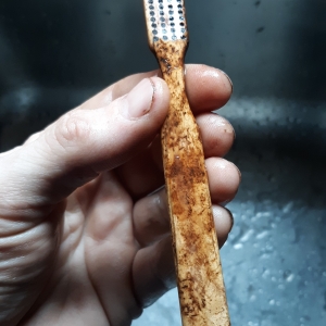 Bone toothbrush