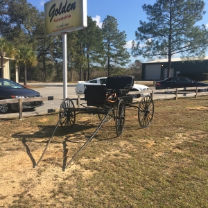 pre 1903 gray and sons horse carriage