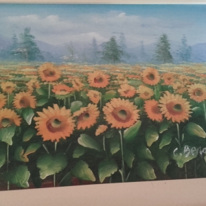 c benolt sunflowers