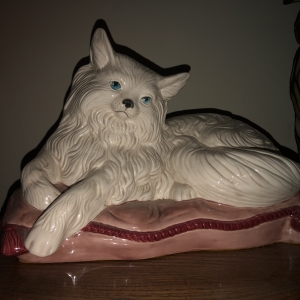 Porceline Cat