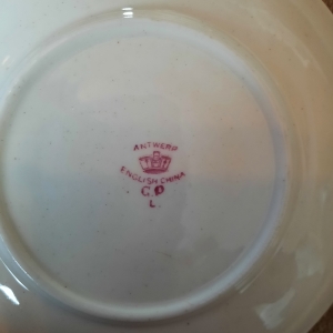 English China cup and saucer 2