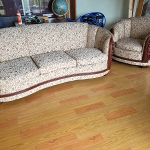 Antique sofa and chair