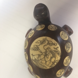 Turtle Compass